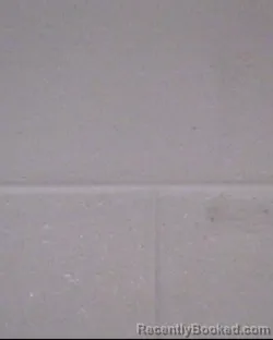 Mugshot of TERESA LYNN SHUFORD