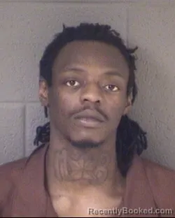 Mugshot of TIMOTHY ALLEN WILLIAMS
