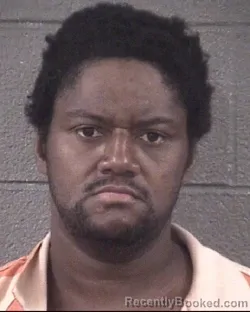 Mugshot of TRAVIS ANDROPOLIS WILKINS booked in Buncombe County, North Carolina on July 13, 2026