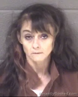 Mugshot of TABITHA ANN WILSON booked in Buncombe County, North Carolina on May 8, 2026