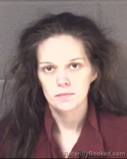 Mugshot of VIVIANE SHAE CHEEKS booked in Buncombe County, North Carolina on July 11, 2026