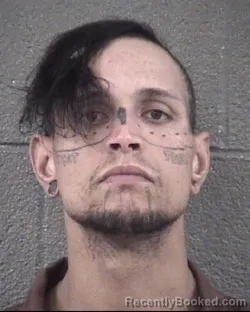 Mugshot of WALTER JAMES E EVANS booked in Buncombe County, North Carolina on March 23, 2026