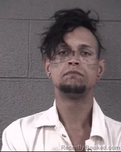 Mugshot of WALTER JAMES E EVANS booked in Buncombe County, North Carolina on April 3, 2026