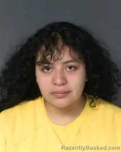 Mugshot of EVELYN MARIE VILLALBA-CONTRERAS
