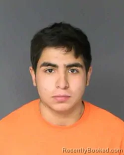 Mugshot of JOSE RAUDEL RUIZ