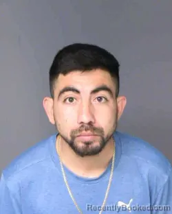 Mugshot of PATRICIO SIMON PENA