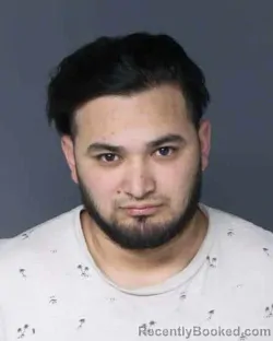 Mugshot of BRAYAN ALEXANDER ORTIZ HERNANDEZ