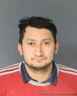 Mugshot of WILDER SALVATIERRA