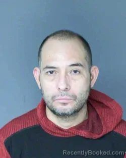 Mugshot of LELAND MICHAEL CHENOWETH