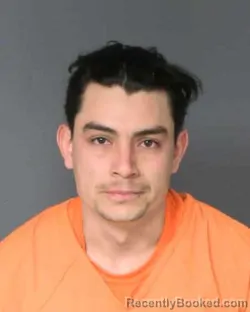 Mugshot of APOLINAR ALEJANDRO ARREDONDO-LARA