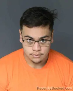 Mugshot of ULISSES MENDOZA