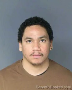 Mugshot of ALEC LYSEAN FELIPE