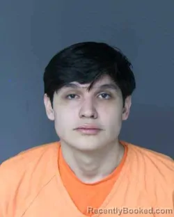 Mugshot of DAVID ALEJANDRO HEREDIA-MARTINEZ