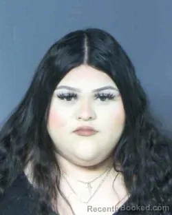 Mugshot of NICHOLE ESTEFANI APARICIO