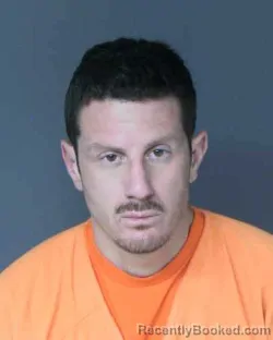 Mugshot of MICHAEL REMO METALLO