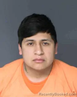 Mugshot of JOHAN PAULINO SOLANO-HURTADO