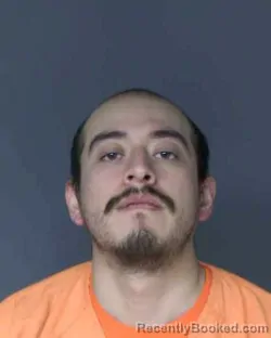 Mugshot of DARREN MAURICIO ALVAREZ