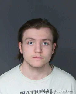 Mugshot of WILLEM BECKETT VANWEL