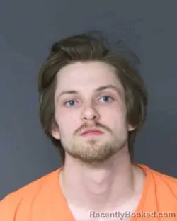 Mugshot of GRIFFIN REILLY COLLINS