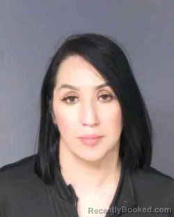 Mugshot of BIBIANA CHAVEZ-CHAVEZ