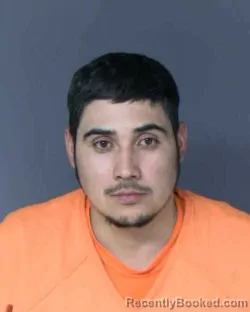 Mugshot of HORTENCIO EMISAEL VEGA-GONZALEZ