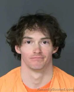 Mugshot of BRANDON MICHAEL WOODS