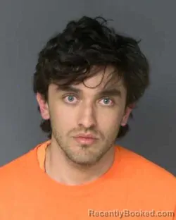 Mugshot of GERONIMO ALANIZ