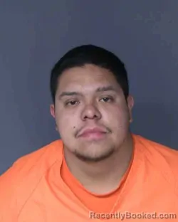 Mugshot of ENRIQUE DANIEL MADRIGAL-VILLIGUA