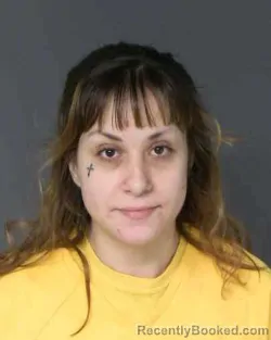 Mugshot of SARA DANIELLE TURNER