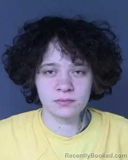 Mugshot of ADRIANA ELLIS booked in Eagle County, Colorado on April 3, 2026