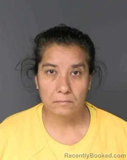 Mugshot of ROSALBA VALDEZ-AVALOS booked in Eagle County, Colorado on July 28, 2026