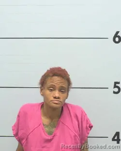 Mugshot of ELIZA ELONGA J ERVIN