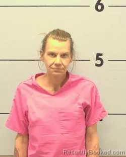 Mugshot of CHRISTINE MICHELLE GILLILAND