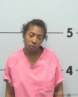 Mugshot of KELSAY ALENE L BROWN booked in Burke County, North Carolina on March 29, 2026