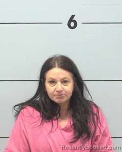 Mugshot of TERI ANN THOMAS