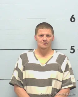 Mugshot of BILLY LEE MOSES