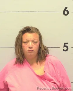 Mugshot of PAULA JEANNE BARROWS booked in Burke County, North Carolina on March 27, 2026