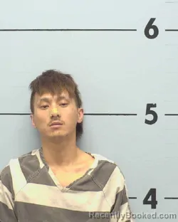 Mugshot of PENG SENG XIONG