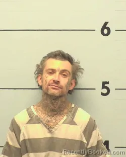 Mugshot of WESLEY RYAN SHOOK