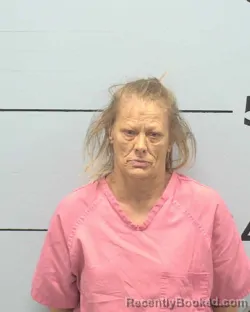 Mugshot of ANNETTE LEE MCCASLIN