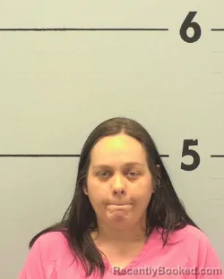 Mugshot of AMANDA NICHOLE DAVIS
