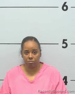 Mugshot of BRANDY SHERNEA JOHNSON