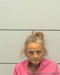 Mugshot of Benita Renee Lowman booked in Burke County, North Carolina on August 25, 2026