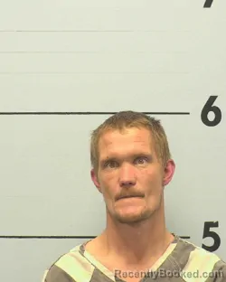 Mugshot of DILLON LEE WHISNANT