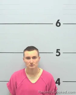 Mugshot of ASHLIE ELIZABETH ROBINSON