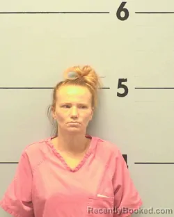 Mugshot of LISA NICOLE HALL booked in Burke County, North Carolina on April 6, 2026