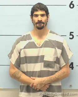 Mugshot of DOMINIQUE JEAN SHILLITO