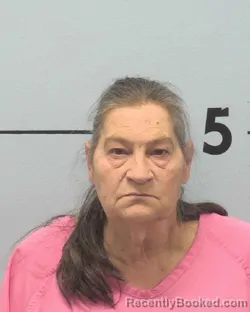 Mugshot of MARY JANE ABERNATHY