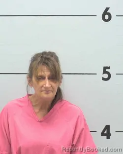 Mugshot of DONNA LYNN DOERGE