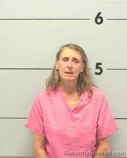 Mugshot of SUSAN GAMBLE BROWN booked in Burke County, North Carolina on July 3, 2026